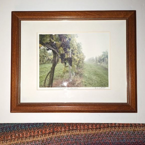 Time For Harvest Brian Keith Piper Framed Photo Grapes Vineyard Signed 16.5x13x1
